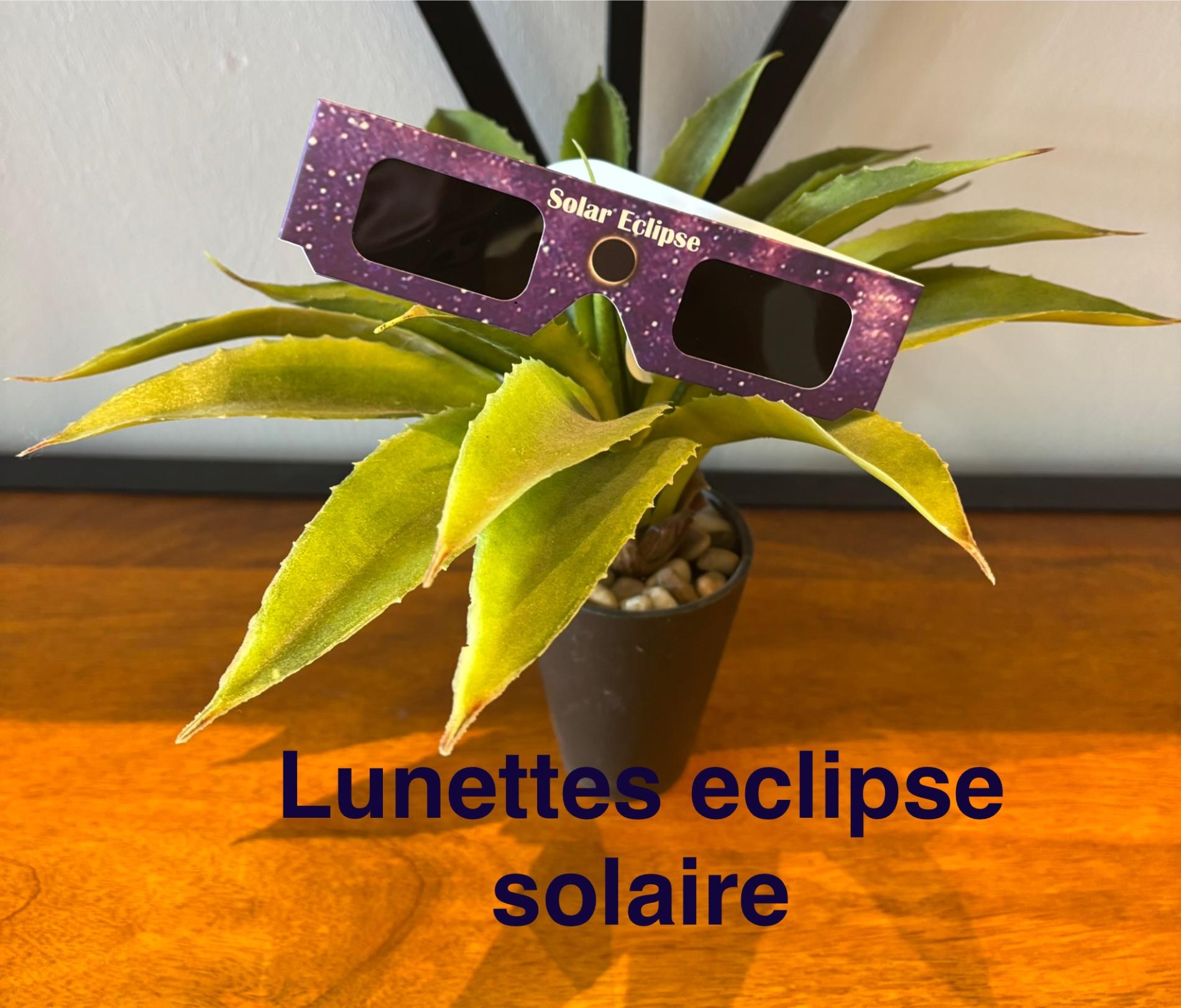 Lunettes eclipse solaire