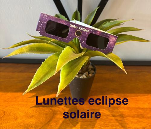 Lunettes eclipse solaire